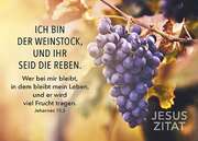 Postkarten: Ich bin der Weinstock, 12 Stück Postkarten: Ich bin der Weinstock, 12 Stück