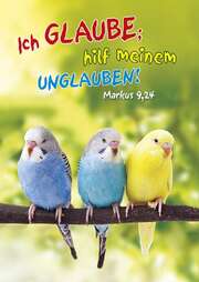 Jahreslosung 2020 - Postkarten, 12 Stück - Vögel Jahreslosung 2020 - Postkarten, 12 Stück - Vögel