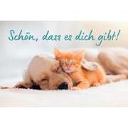 Daniel Kallauch - CD-Card: Schön, dass es dich gibt - Motiv Tiere CD-Card: Schön, dass es dich gibt - Motiv Tiere