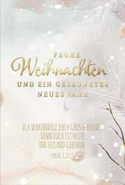 Postkartenserie "Frohe Weihnachten"/Ich verkündige euch große Freude 10 Stk.