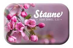 Magnet - Staune Magnet - Staune
