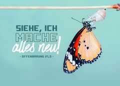 Jahreslosung 2026 - Postkarte "Schmetterling"
