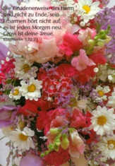 Postkarten Blumenstrauss weiß/rosa, 6 Stück