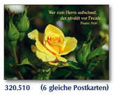 Postkarten Rosen, 6 Stück