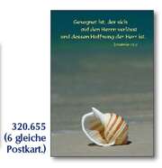 Postkarten Muscheln, 6 Stück Postkarten Muscheln, 6 Stück