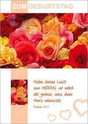 Postkartenserie Zum Geburtstag - 12 Stück Postkartenserie Zum Geburtstag - 12 Stück