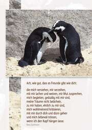 Doro Zachmann - Postkarten: Ach wie gut, das es Freunde gibt wie dich, 12 Stück Postkarten: Ach wie gut, das es Freunde gibt wie dich, 12 Stück