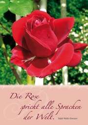 Postkarten: Die Rose spricht alle Sprachen der Welt, 4 Stück Postkarten: Die Rose spricht alle Sprachen der Welt, 4 Stück