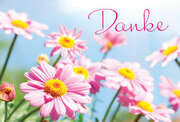 Faltkarte "Danke" - 5 Stück Faltkarte "Danke" - 5 Stück