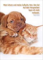 Postkarten: Mein Schutz und meine Zuflucht, 12 Stück Postkarten: Mein Schutz und meine Zuflucht, 12 Stück