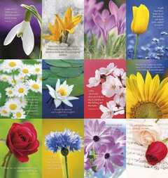 Postkartenserie "Blumen" 12 Stück